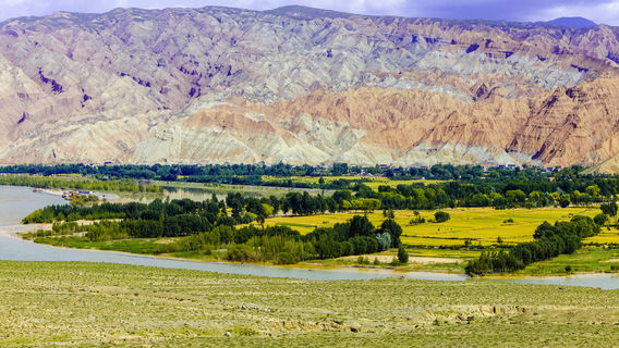Qingqing Yellow River Scenic Area