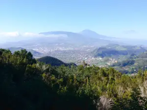 Mirador Cruz del Carmen