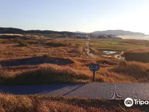 Taean Sinduli Haean Sagu