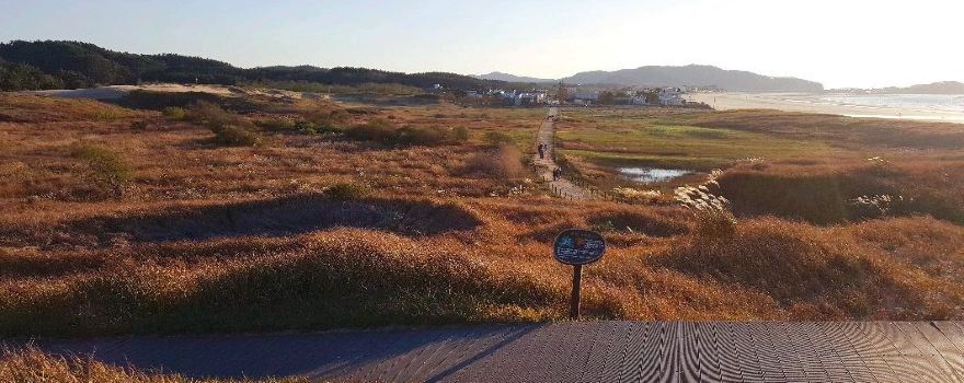 Taean Sinduli Haean Sagu