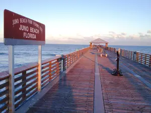 Juno Beach Pier