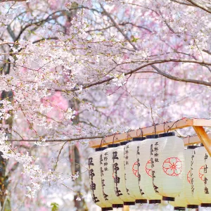 平野神社