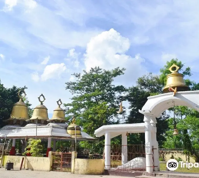 Tinsukia
