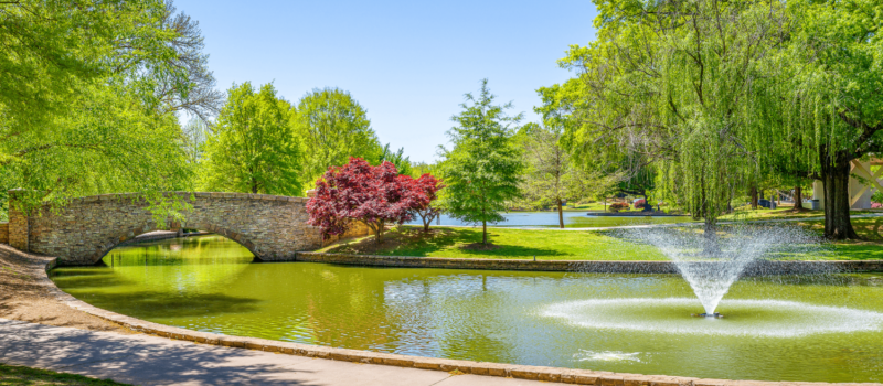 Freedom Park