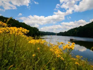McClintic Wildlife Management Area