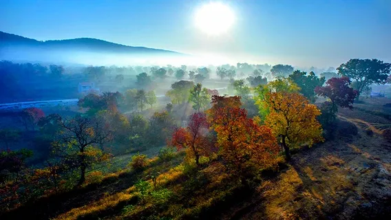 lao shan hong ye guan guang yuan
