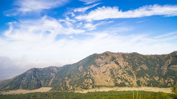 Vesuvius National Park
