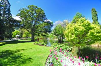 Top 10 Spring Outings in Otago