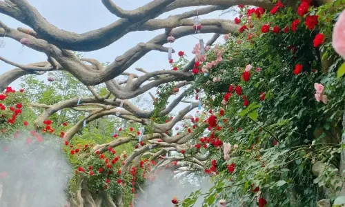 จุดชมวิวภูเขาหม่าหลิง