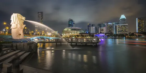 魚尾獅公園+DUCKtours鴨子船+夜間野生動物園一日遊