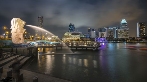 魚尾獅公園+DUCKtours鴨子船+夜間野生動物園一日遊