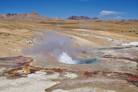 Tagejia Grand Geyser