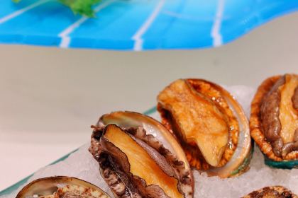 海鲨湾海鲜会馆(盐城店)