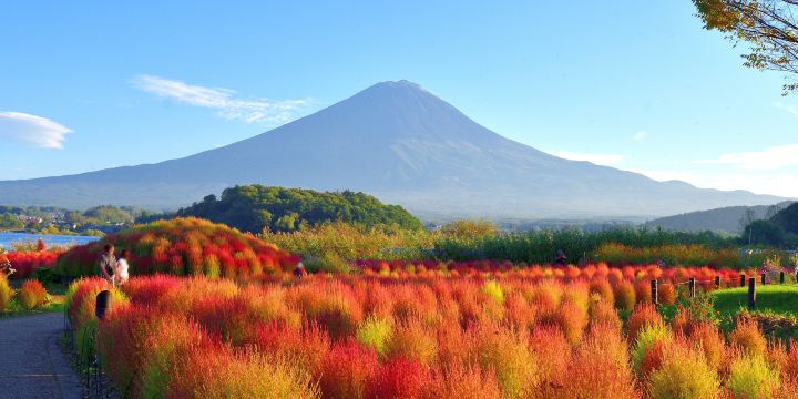 Oishi Park
