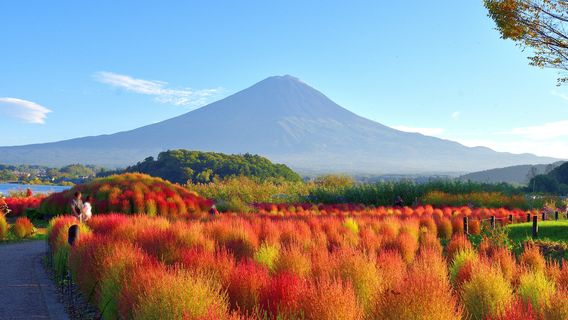Fujikawaguchiko