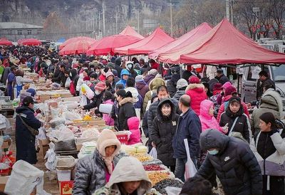 Local Fairs in Zibo