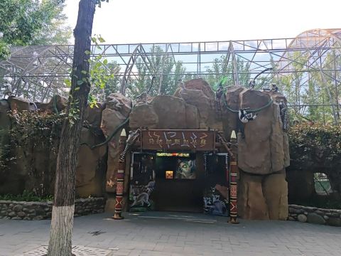 Madagascar Jungle