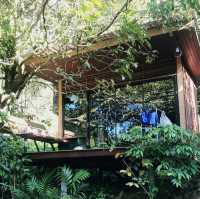 บ้านในหมง treehouse โฮมสเตย์กลางป่า