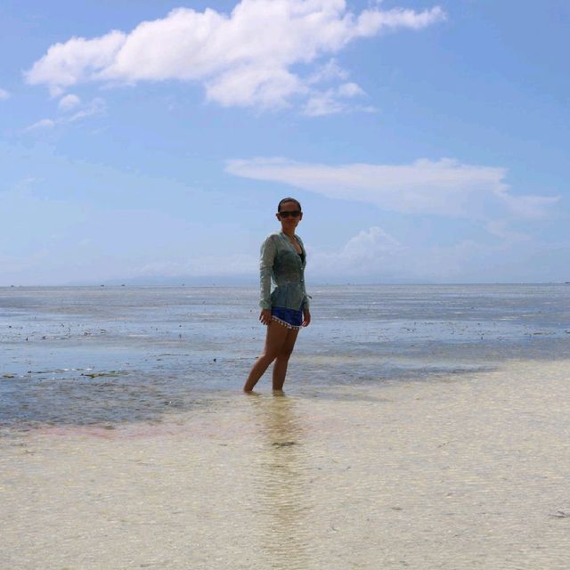 A fun in the sandbar