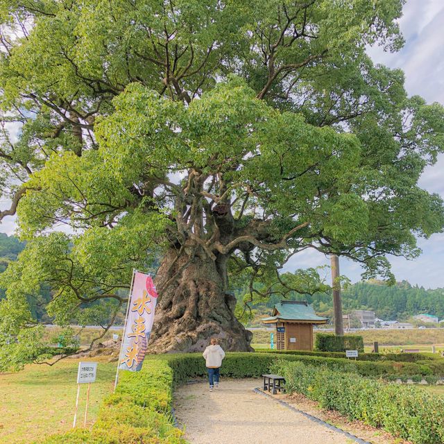 肌がツルツルになる武雄の温泉