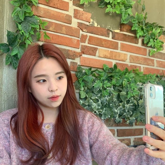 부드러운 수플레 맛집 '릴리로즈'