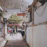 전주! 한옥마을로 꽃구경 가자!