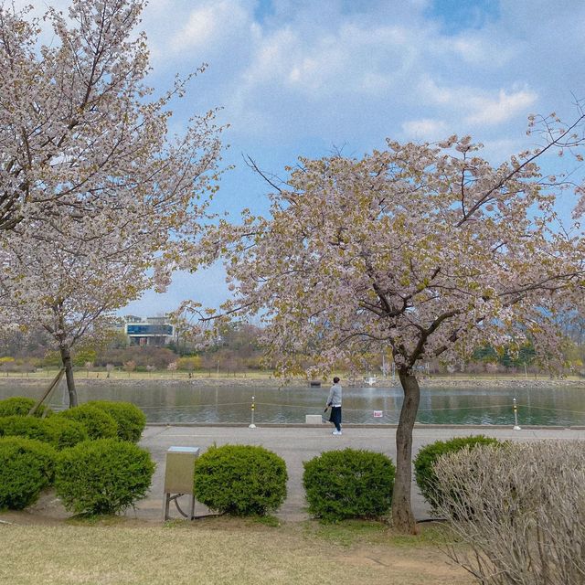 서울근교 숨은핫플 미사 경정공원