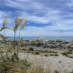 The Craypot Kitchen & Bar Kaikoura 여행 사진