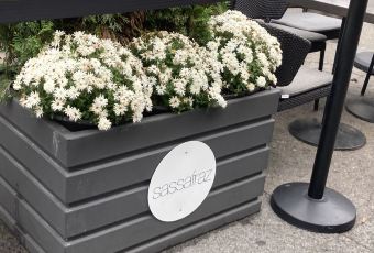 Sassafraz User Photo