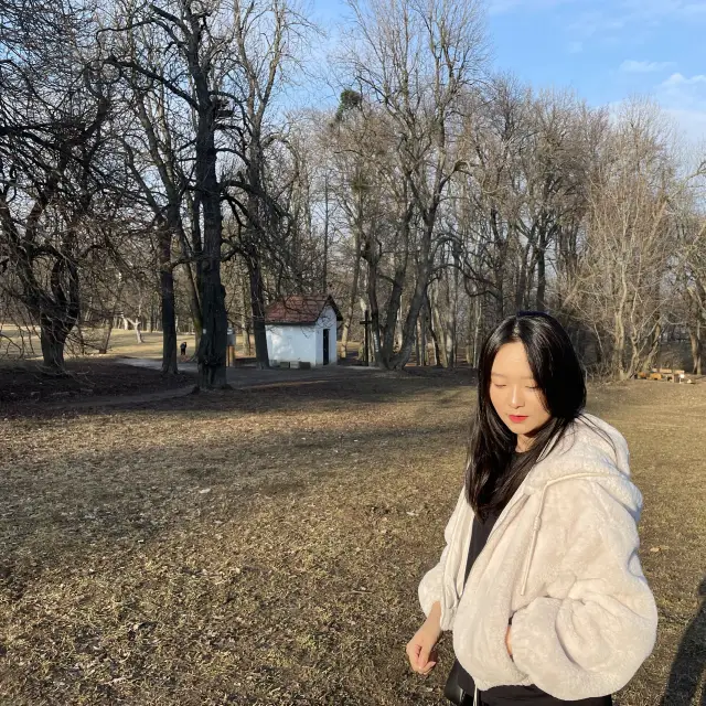 [넓은 들판에서 일광욕하기]