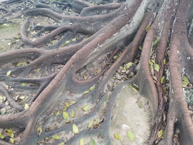 샹산 관광지(상산 관광지)