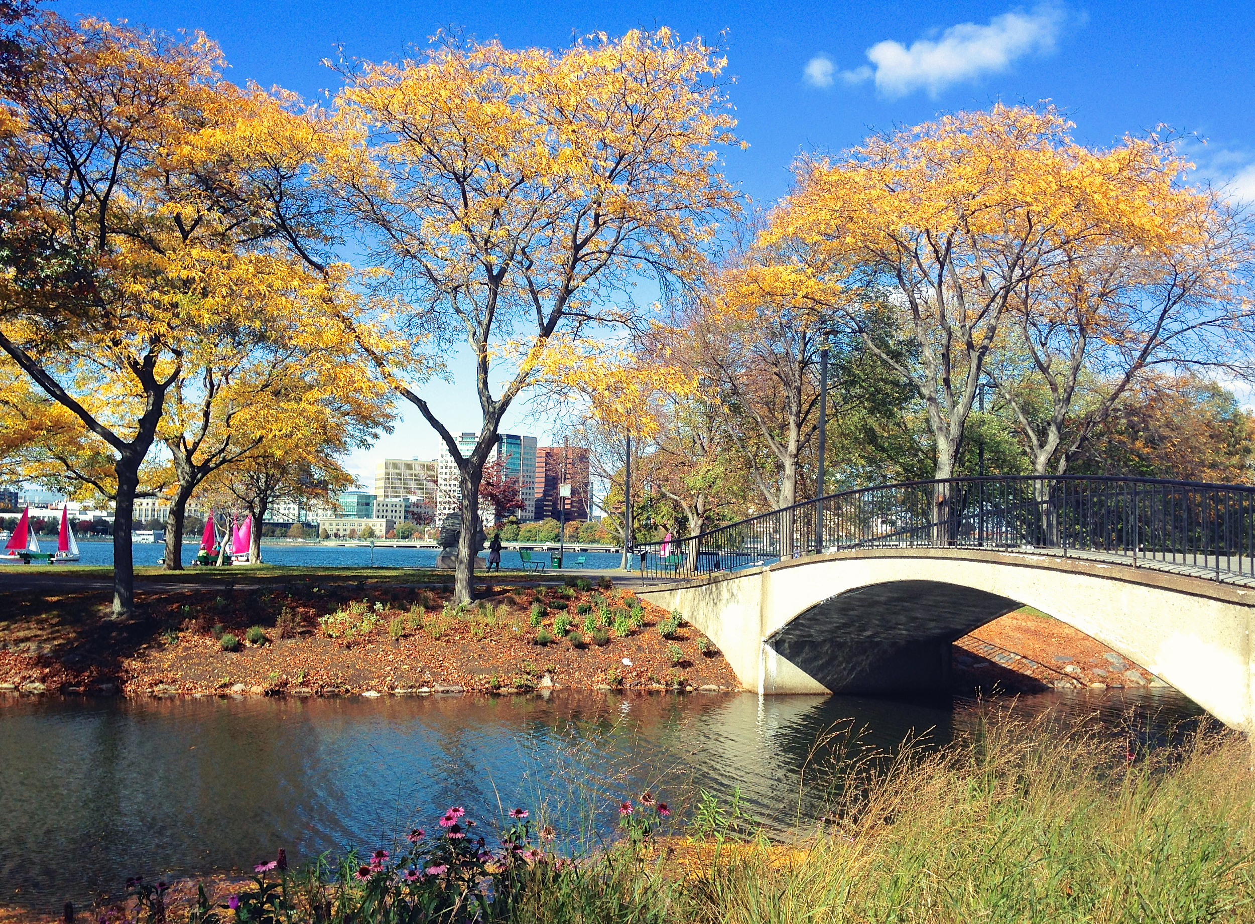 Charles River Esplanade: Photos, Map & Reviews [2024]