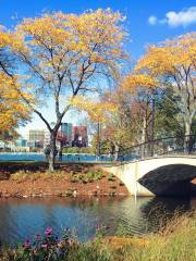 Charles River Esplanade