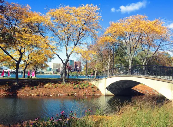 Flights from Chicago to Boston