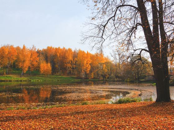 Dongbai Lake