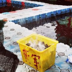 秀水人家食府張用戶圖片