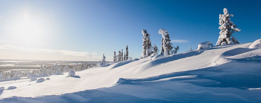Fell Lapland