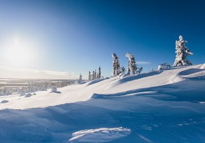Fell Lapland