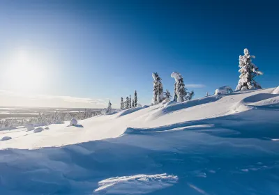 Fell Lapland