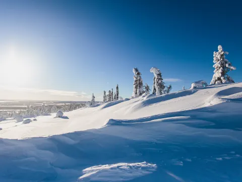 Fell Lapland