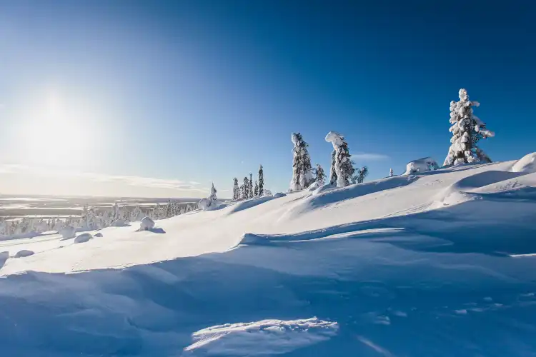 Fell Lapland