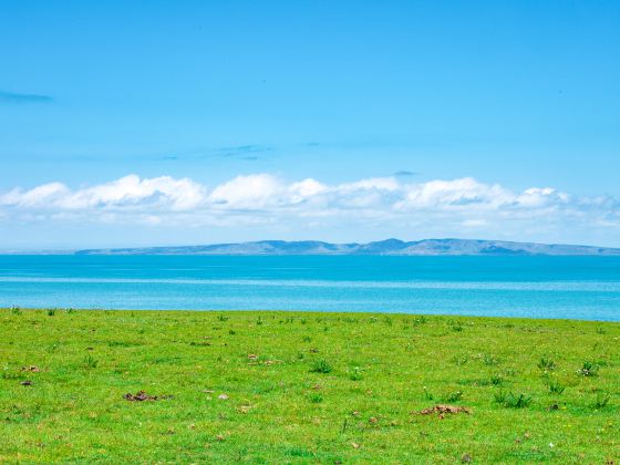 Qinghai Lake Erlangjian Scenic Area