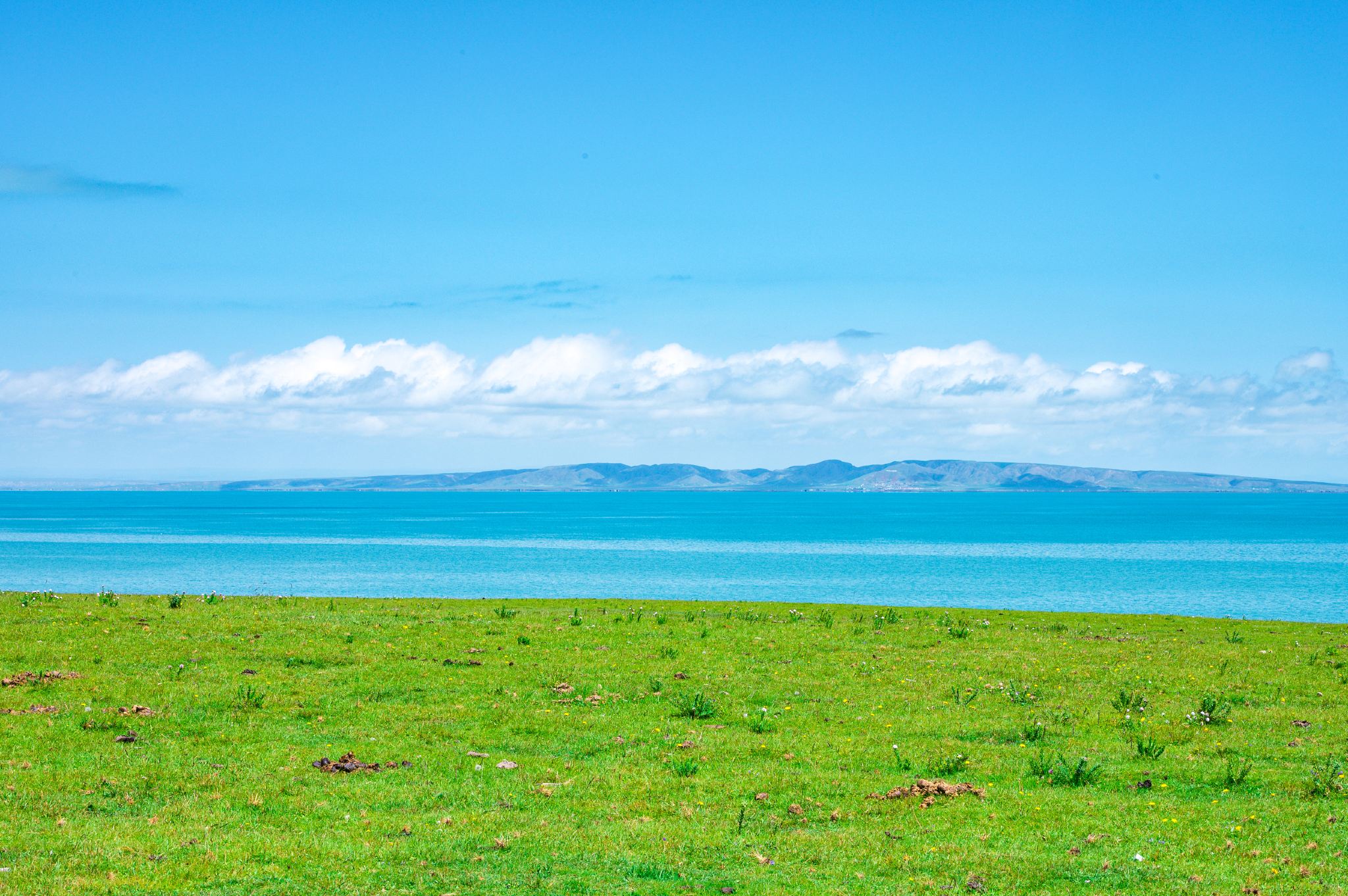 青海湖一日遊【專屬包車自由出行+想拍隨停+純玩無購物】