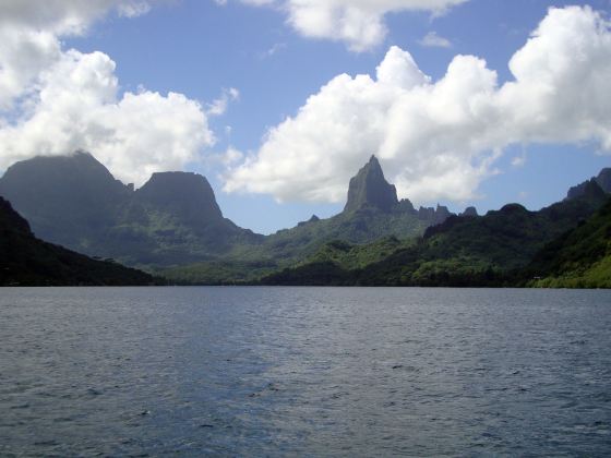 莫雷阿島