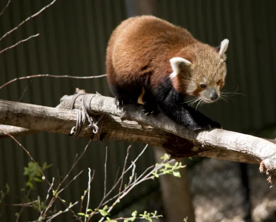 Отзывы об отеле Kobe Suma Sea World Hotel