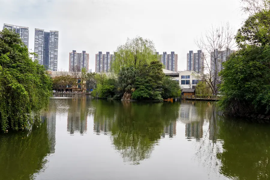 白鳥の湖