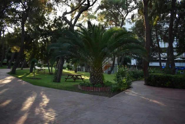 Hotels in Sulphur With Swimming Pools