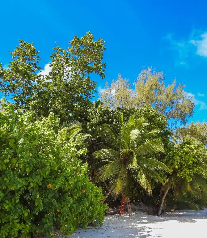 Beau Vallon