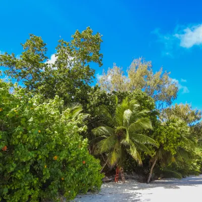 Flug Mahé Praslin