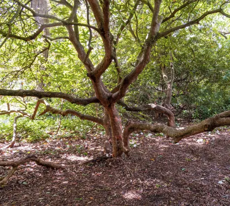 Huichang Hotel (Zhonshan Nantan)